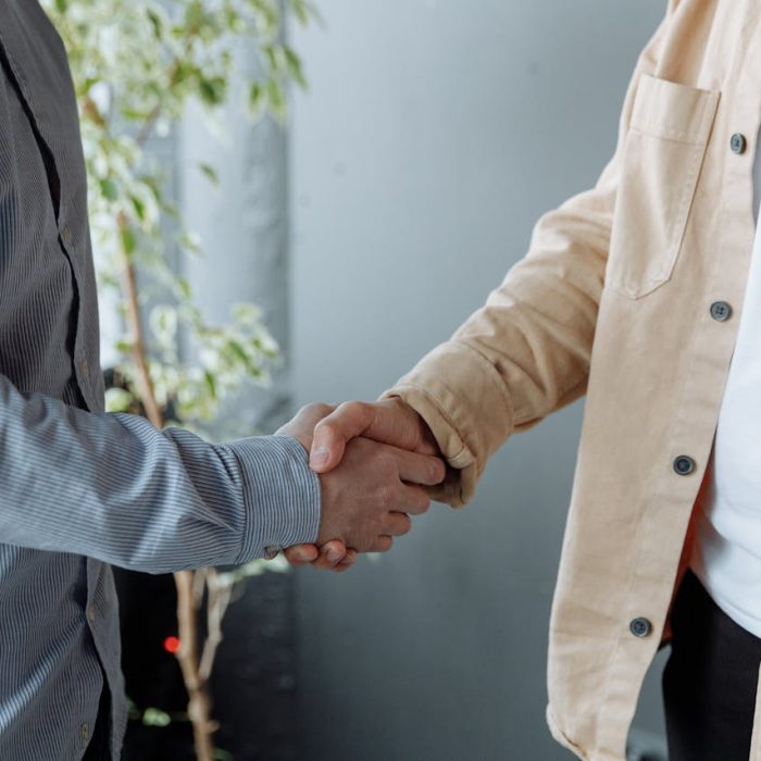 Trust Bridge Recovery